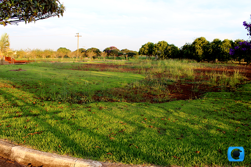 cemitério2-1496955495