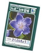 ZA953
