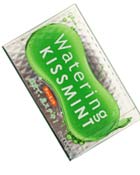 KNS923