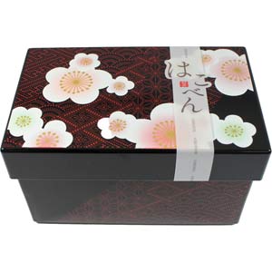 HAKOBEN Plum Blossoms 2 Tier Bento Box w/ Refrigerant & Elastic Band