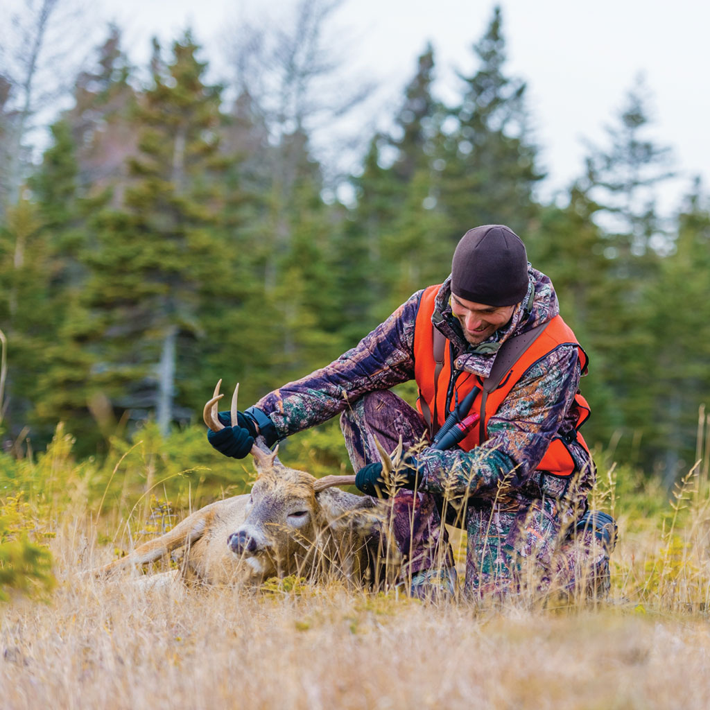 Family experiences packages — Sépaq Anticosti – Sépaq Anticosti