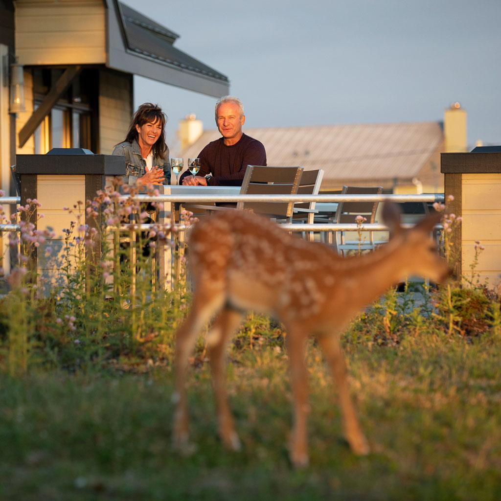 Family experiences packages — Sépaq Anticosti – Sépaq Anticosti