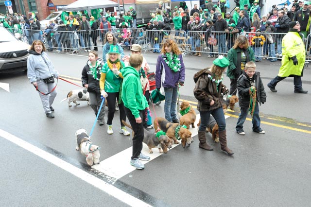 St Patties day 2013 St Patties day 2013