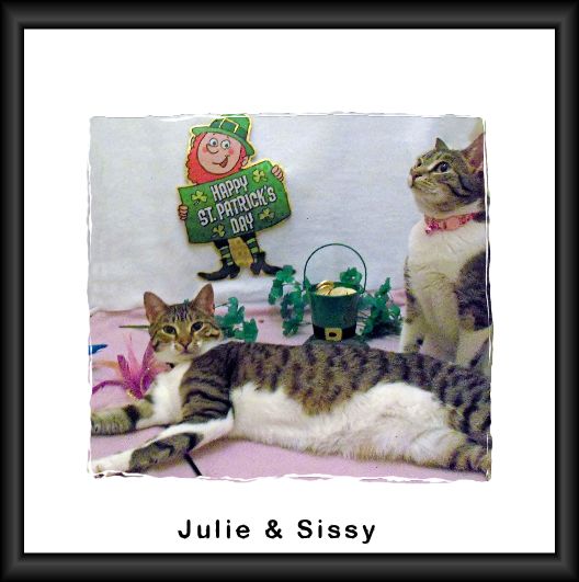 March Pet of Month March Pet of Month
