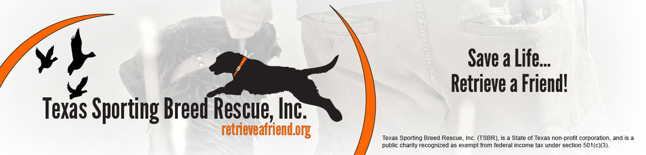 hunting dog rescue near me