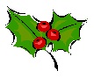 Holly Small Holly Small