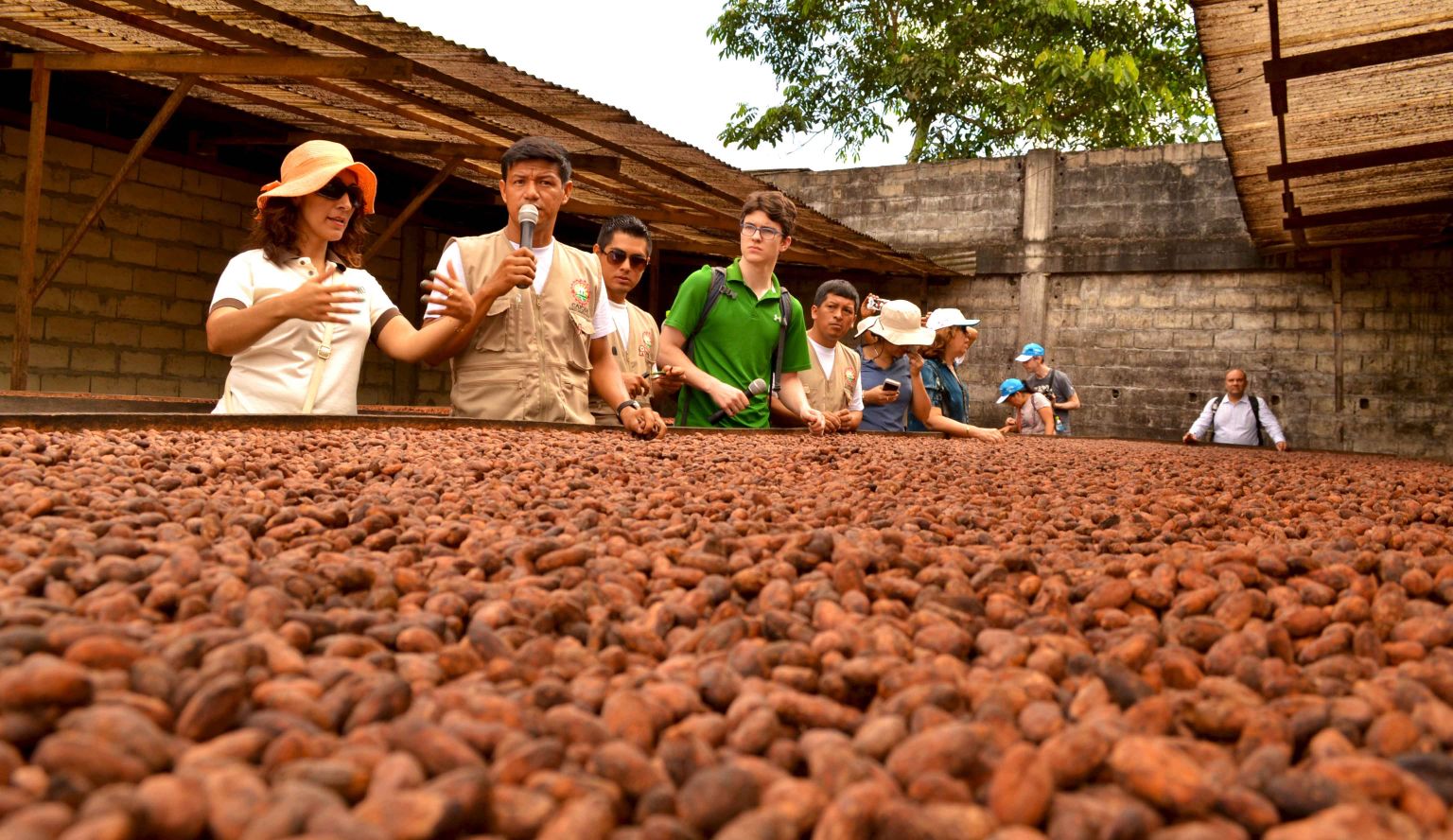 Delegación internacional recorrió ruta turística de cacao y chocolate