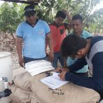San Martín: Mejorarán producción de cacao con aplicación de nuevos insumos
