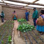 Fortalecen producción agrícola en zonas vulnerables a heladas
