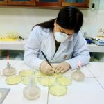 Usan aceites esenciales para promover acuicultura en Loreto