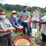 San Martín: Piscicultores de Uchiza iniciaron primera cosecha de tilapia
