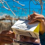 La Libertad: Implementan acciones contra mosca de la fruta