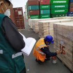 Callao: Decomisan madera que iba a ser exportada a China