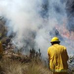 Especialistas explicarán impacto de incendios forestales