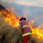 IGP destaca aporte de la ciencia para prevenir incendios forestales