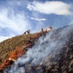 Puno: Funcionarios son capacitados en gestión de riesgos por incendios forestales