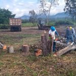San Martín: Instalan vivero agroforestal que producirá cinco millones de plantones