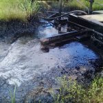 14 derrames de petróleo durante la pandemia