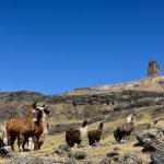 Huancavelica: Paisaje Apu Tambraico ya es Patrimonio Cultural de la Nación