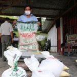 Buscan mitigar el cadmio en el suelo, hojas y en el fruto del cacao en San Martín