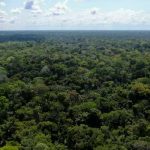 Minam garantiza conservación de un millón doscientos mil hectáreas de bosques comunales