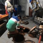Ucayali: Decomisan 41 tortugas charapas en Pucallpa