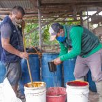 San Martín: Elaborarán biofertilizantes que se aplicarán a 2651 hectáreas