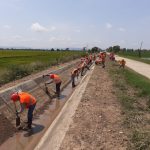 San Martín: Limpian 310 km de canales en el Huallaga Central