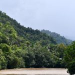 Huánuco: Empresas se suman a la protección bosques amazónicos