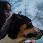 Las mascotas son nuestras aliadas para elevar la autoestima
