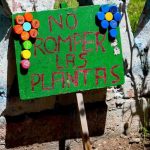 La escuela es el espacio ideal para formar conciencia ambiental