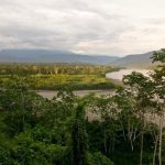Comunidades nativas usan comunicación alternativa para conservar bosques