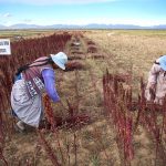 Valorización de la biodiversidad es clave para desarrollo de economías locales