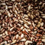 Productos del bosque serán comercializados en mercados del Minagri