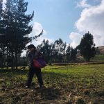 Apurímac: 4000 familias rurales mejorarán productividad ganadera