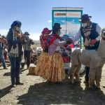 Puno: Entregan maquinaria e insumos a productores de fibra de alpaca