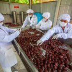 Amazonas: Productores beneficiados por cadenas productivas