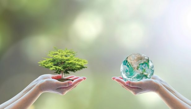 Tips para llevar un estilo de vida más sostenible | Inforegion