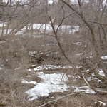 Racine 2007