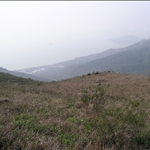 DSCN4686.jpg