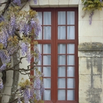 DSCN0113.JPG
