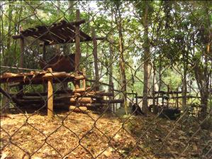 SDC12980.JPG