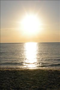 DSCN1743.jpg
