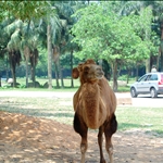 DSC_5825.jpg