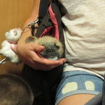 IMG_1166.JPG