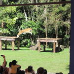 IMG_2786.JPG