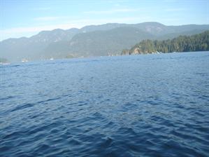 DSC08799.JPG