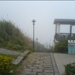 DSC08476.JPG