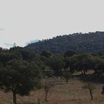 DSC_0789.JPG