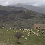 RIMG0007.JPG